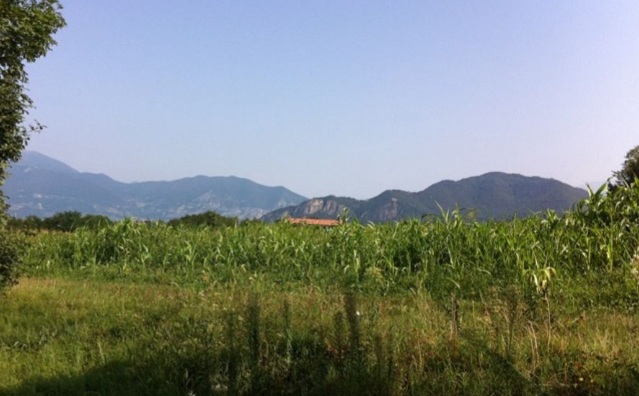 Bosco Stella, la nuova variante “scongiura” un futuro da discarica