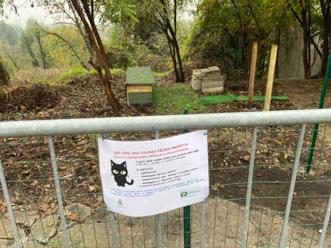 Rudiano, i gatti «senza casa» ora hanno un posto dove stare