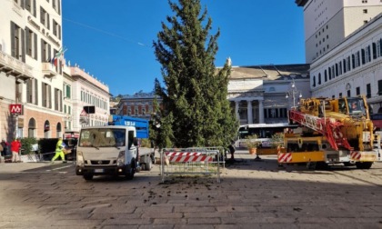 Genova: il grande albero di Natale in piazza De Ferrari arriva da Ponte di Legno