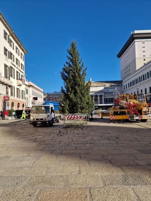 Genova: il grande albero di Natale in piazza De Ferrari arriva da Ponte di Legno