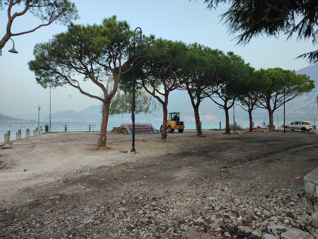 Protesta sospende il taglio dei pini marittimi di Iseo