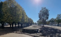 I "nuovi" giardini pubblici di Orzinuovi: cosa ne pensi? Dicci la tua