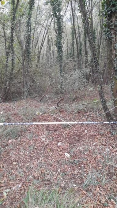 Abbandono rifiuti nel bosco: quattro persone sanzionate e obbligate a ripulire l’area