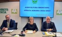 Agricoltura: nel Bresciano l'annata è stata positiva ma restano i costi di produzione