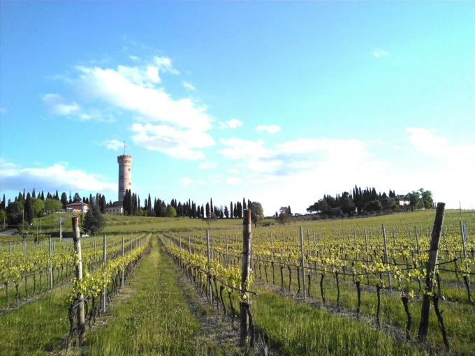 Un coro di voci contro la stazione Tav Garda