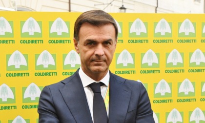 Dazi Usa, Coldiretti: “Colpo durissimo all’economia reale”. Per Brescia danni da 20 milioni