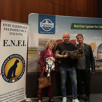 Grace Kelly è la gatta più bella del mondo: la principessa vive sorniona ad Azzano