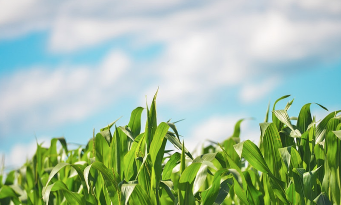 Giornata mondiale del Suolo: a Brescia sono 130 gli ettari consumati nell’anno 2021-2022