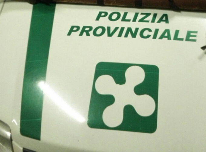 A folle velocità in auto, 30enne inseguito e fermato dalla Polizia Provinciale