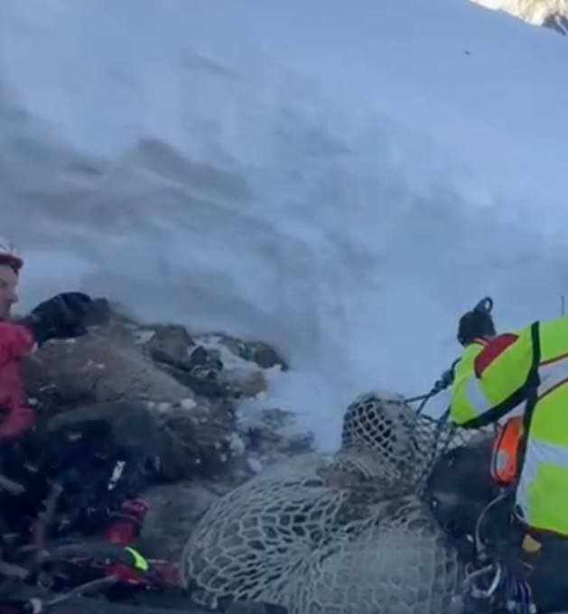 Pecore abbandonate a oltre 2mila metri di quota, il recupero in elicottero