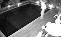Ladri in fuga sorpresi dal cane, uno di loro per scappare si tuffa in piscina: il video è diventato virale