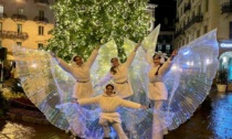 "Sotto le luci di Natale": Telgate si accende di festa e di solidarietà