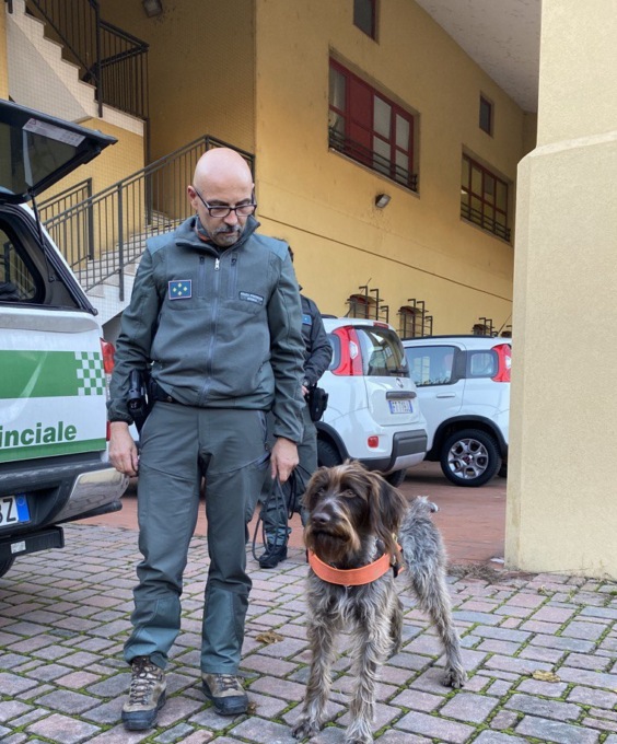 Polizia Provinciale: nel 2023 il nucleo Ittico Venatorio ha effettuato 63 accertamenti penali e 240 contestazioni amministrative