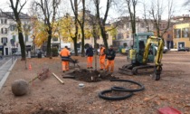 Brescia Antica: in corso gli interventi di rinnovo delle alberature