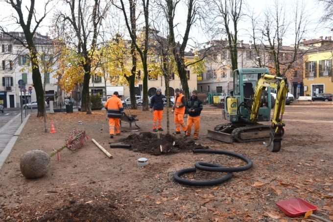 Brescia Antica: in corso gli interventi di rinnovo delle alberature