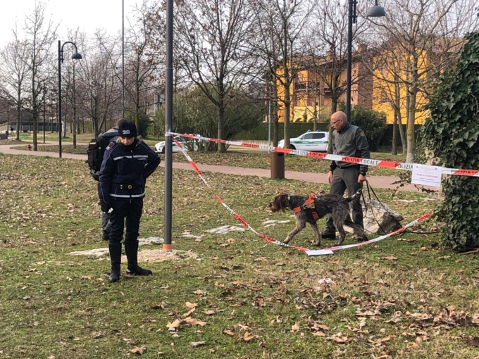 Esche avvelenate in un parco pubblico, individuato e denunciato il responsabile