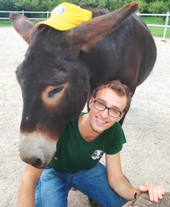 Un asino da 110 e lode: Michelangelo si è laureato con una tesi sull’onoterapia