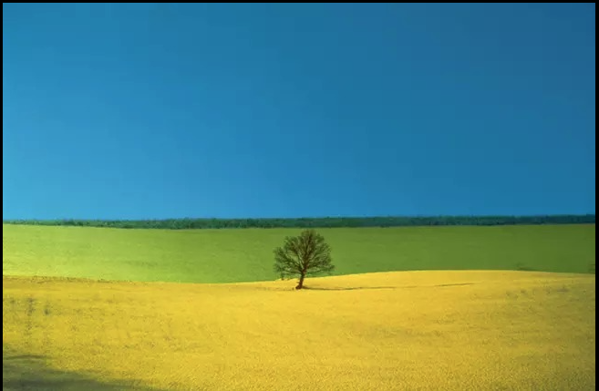 Cosa fare nel week end a Brescia e in provincia: gli eventi di sabato 9 e domenica 10 marzo 2024