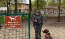 Unità cinofila antiveleno della polizia provinciale: l'intervento in alcuni parchi del comune di Brescia