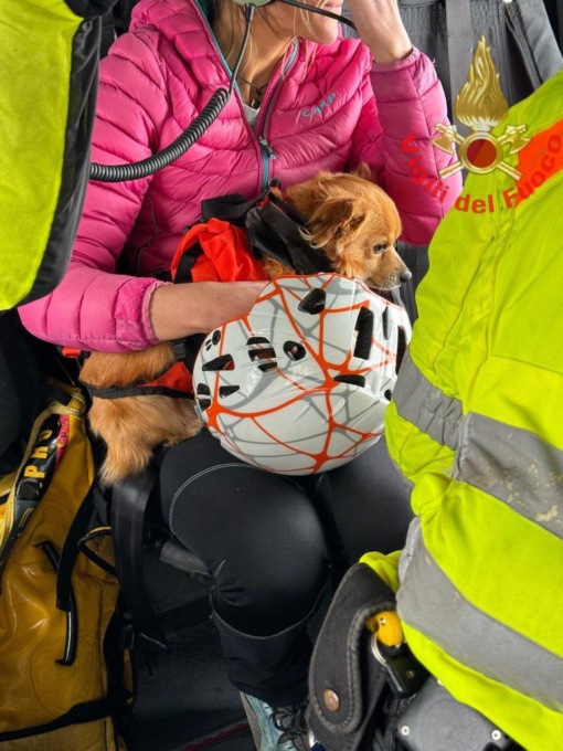 Il proprietario si infortuna, due cani restano isolati in una zona impervia e con neve: interviene l’elicottero