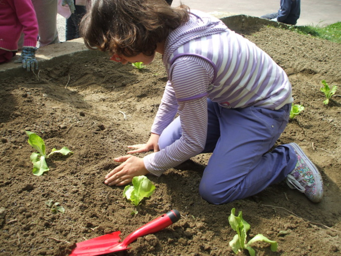 Orti di Lombardia, la Regione punta sul green