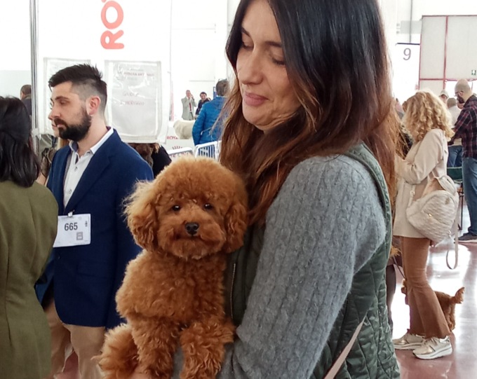 The Dog Show: al Centro Fiera di Montichiari i cani più belli e più agili del mondo