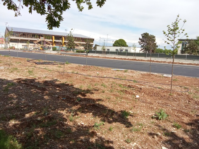 Montichiari: avanti tutta i lavori per il parcheggio dell’ospedale