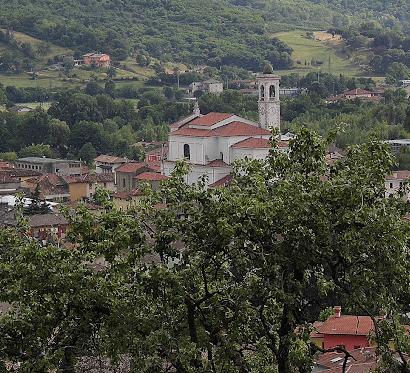 Mecenati del verde cercansi: l’appello lanciato dal comune