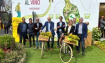 Vinitaly, Laura Facchetti: "Settore vitivinicolo trainante dell’intera filiera agroalimentare"