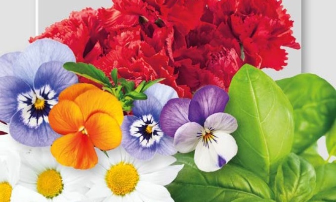 Da oggi in edicola con ManerbioWeek, ChiariWeek, MontichiariWeek e GardaWeek fiori… da mangiare