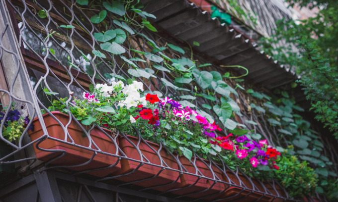 In edicola con ManerbioWeek, ChiariWeek, MontichiariWeek e GardaWeek la Bella di giorno