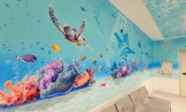 Un "mare di sorrisi" per i bambini in ospedale nel ricordo di Matteo e Ettore