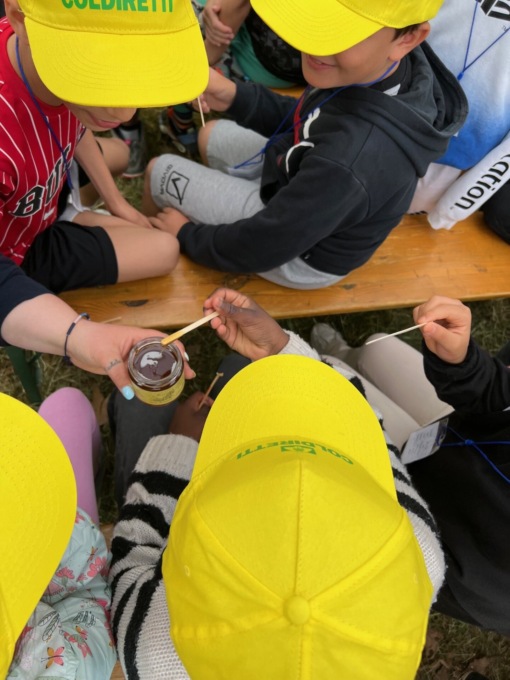 Giornata delle api: l’ostacolo di maltempo e sbalzi termici