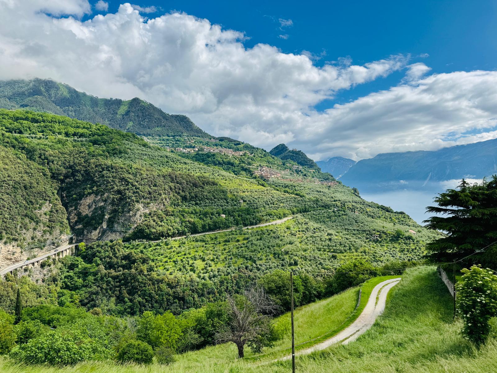 Paesaggio gardesano