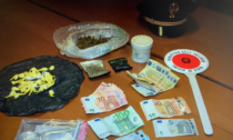40 involucri contenenti cocaina destinati allo spaccio, la scoperta del cane Leone