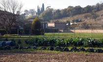 Brolo di Sant'Anna: sarà un maggio ricco di appuntamenti