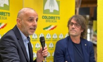 Coltiv@rete, al mercato agricolo la presentazione del libro di Domenico Geracitano