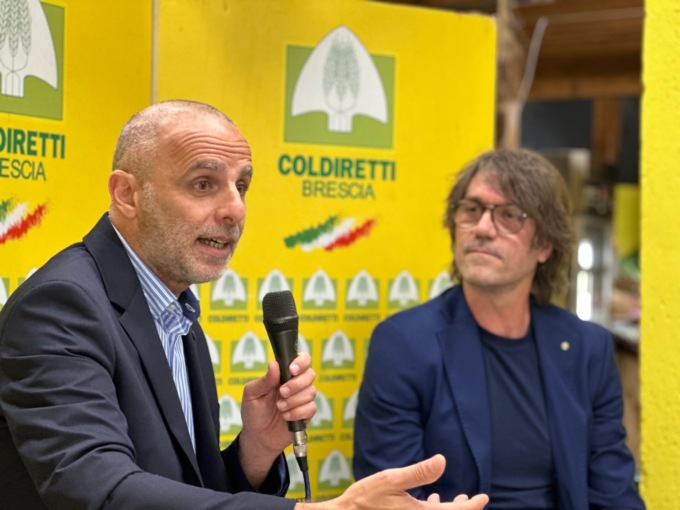 Coltiv@rete, al mercato agricolo la presentazione del libro di Domenico Geracitano