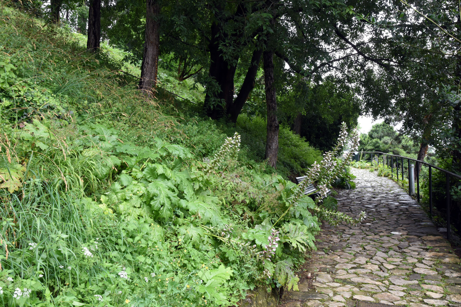 Giardino delle Biodiversità