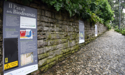 A Brescia arriva il Parco della Biodiversità