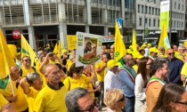 Allarme cinghiali: oltre 500 agricoltori bresciani in protesta a Milano