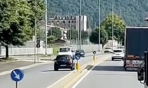 Sp345, un'auto viaggia in contromano: il video è virale