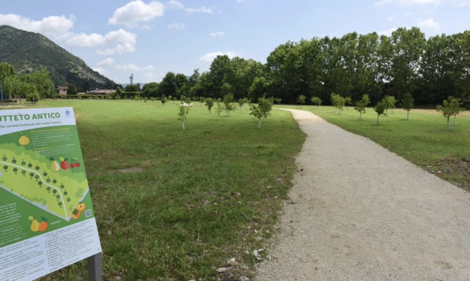 120 alberi da frutto messi a dimora nel comune di Brescia