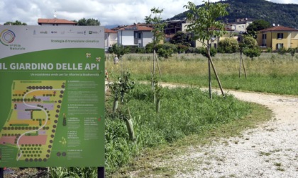 A Brescia arriva il Giardino delle Api