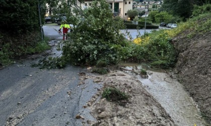 Gruppo Volontari del Garda: oltre cinquanta chiamate nella giornata di ieri causa maltempo