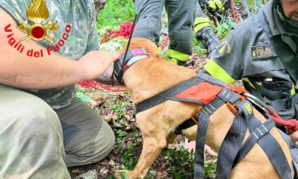 Il cane Tosca recuperato a sei metri di profondità dai Vigili del Fuoco