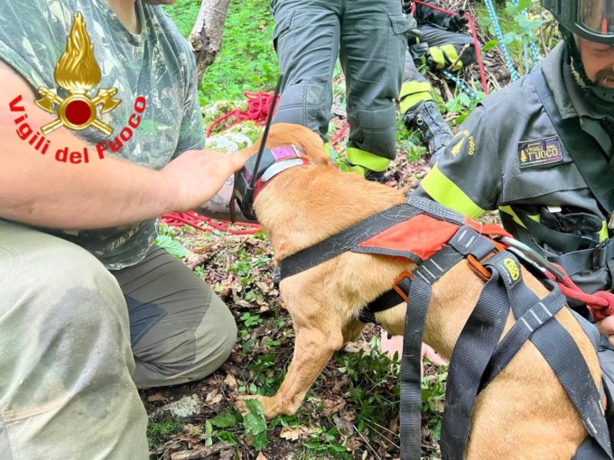 Il cane Tosca recuperato a sei metri di profondità dai Vigili del Fuoco