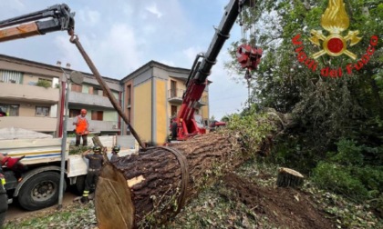 Il maltempo torna a colpire l'hinterland e la Val Camonica