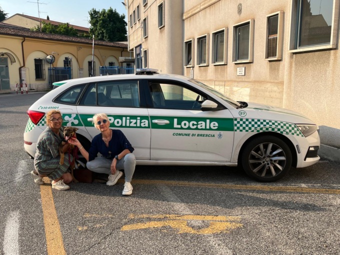 Rubano un cucciolo dal canile di Brescia, la Locale lo trova in Francia