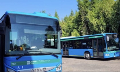 Ubriaco sul bus, autista si ferma e chiede aiuto